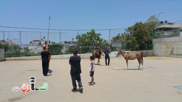 كفرقاسم - فيديو  : تعليم هواية ركوب الخيل في مدرسة جنة ابن رشد في اليوم الرابع لصيف الصادقة 